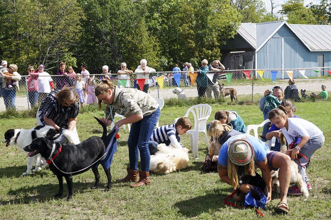 Community support brings canine advocates and caretakers together