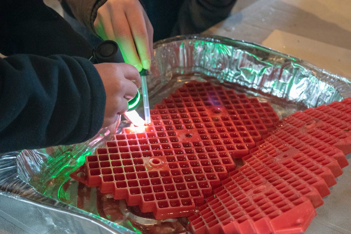 Ministry outlines fish stocking  program for Manitoulin this year