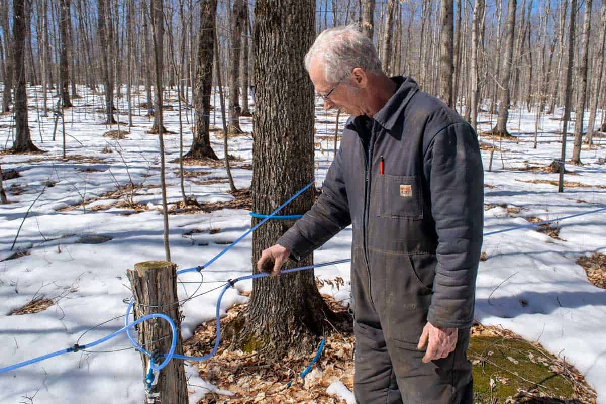Max Burt implements off-grid system to semi-automate the syrup-making process