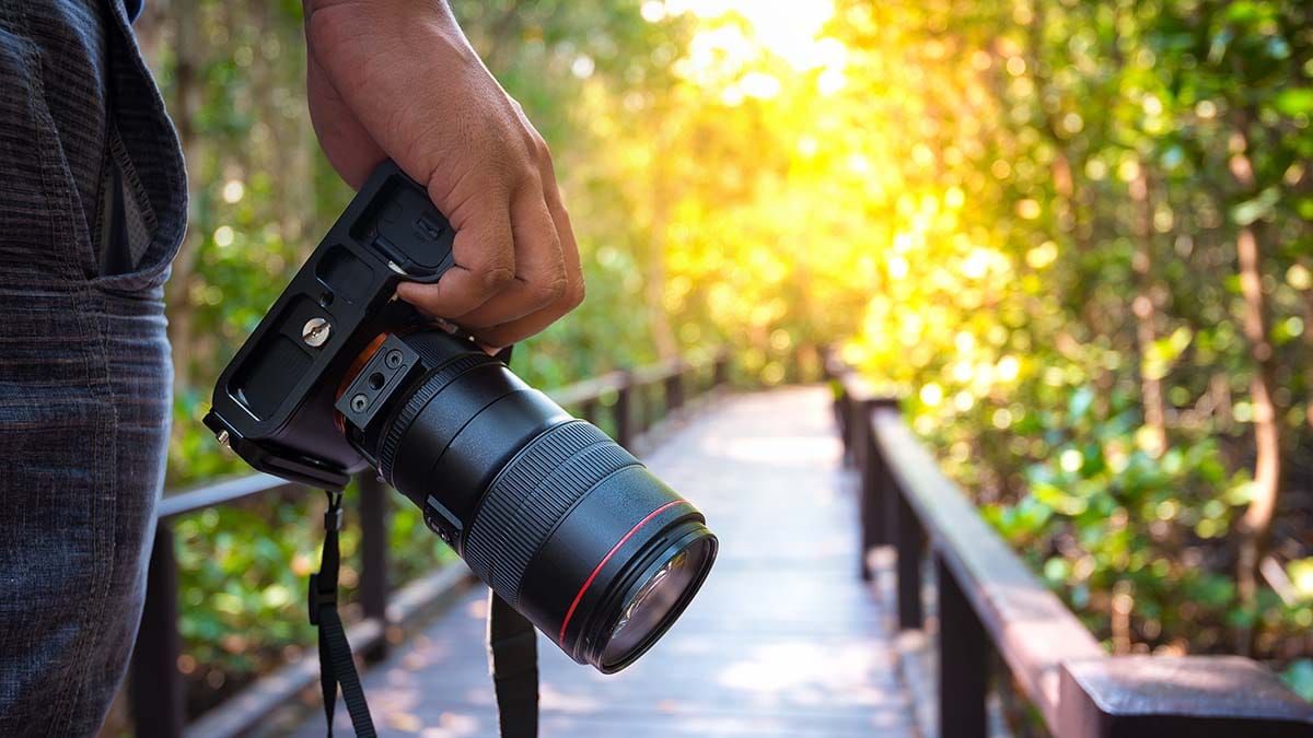 Get snapping: all ages, abilities welcome at Photowalk