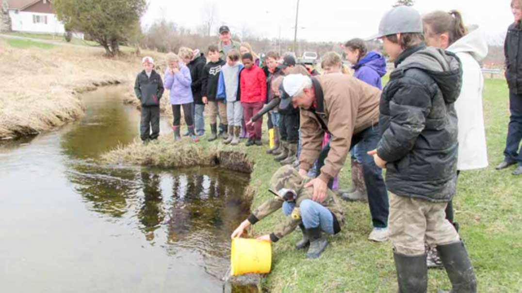 Grade 4/5 students successfully raise, stock fish in Gore Bay