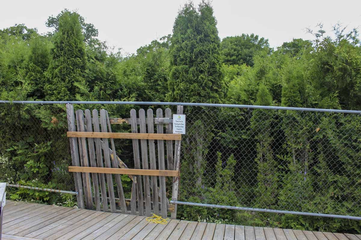 Billings Township council seeks public input into repurposing cedar maze in community