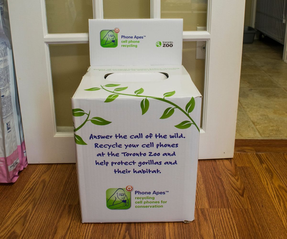 Island veterinarian hosts tech recycling program in partnership with Toronto zoo