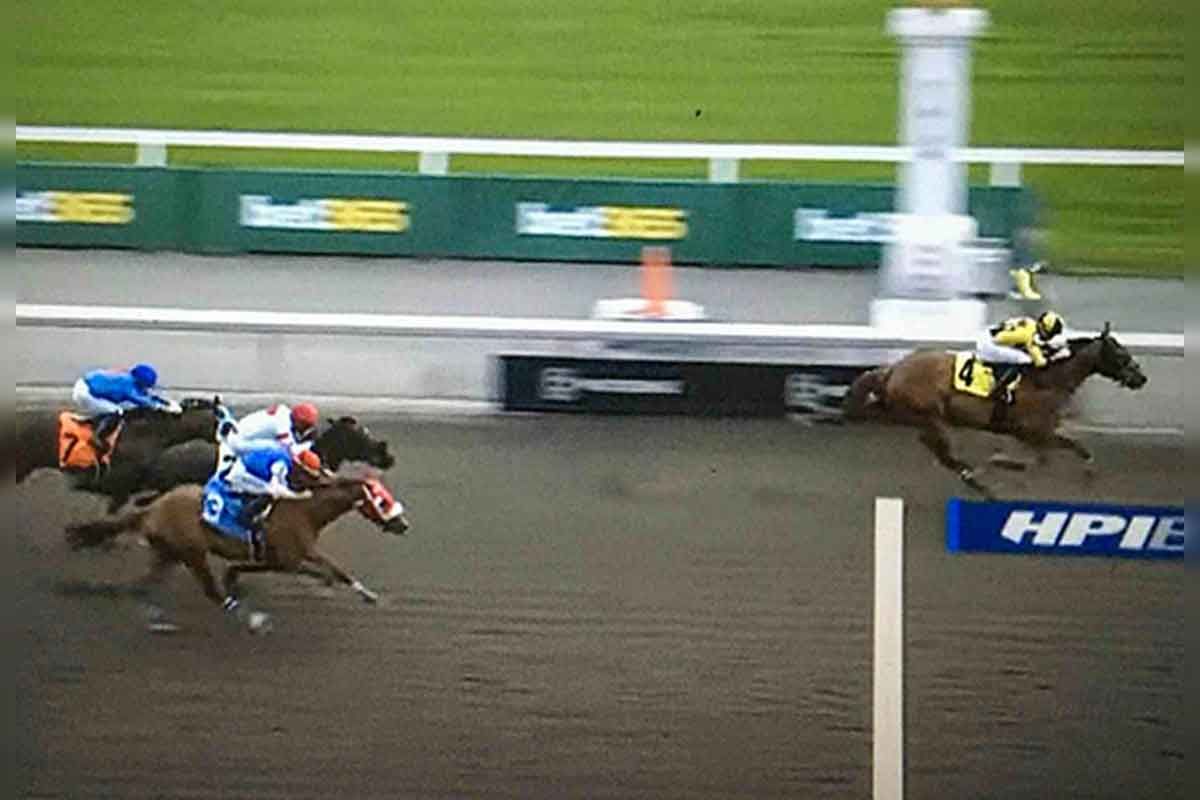 Island horse wins first race