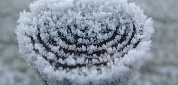 Record cold February for Island
