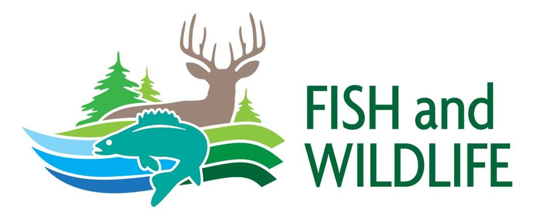 Ontario revamps outdoors card, licences