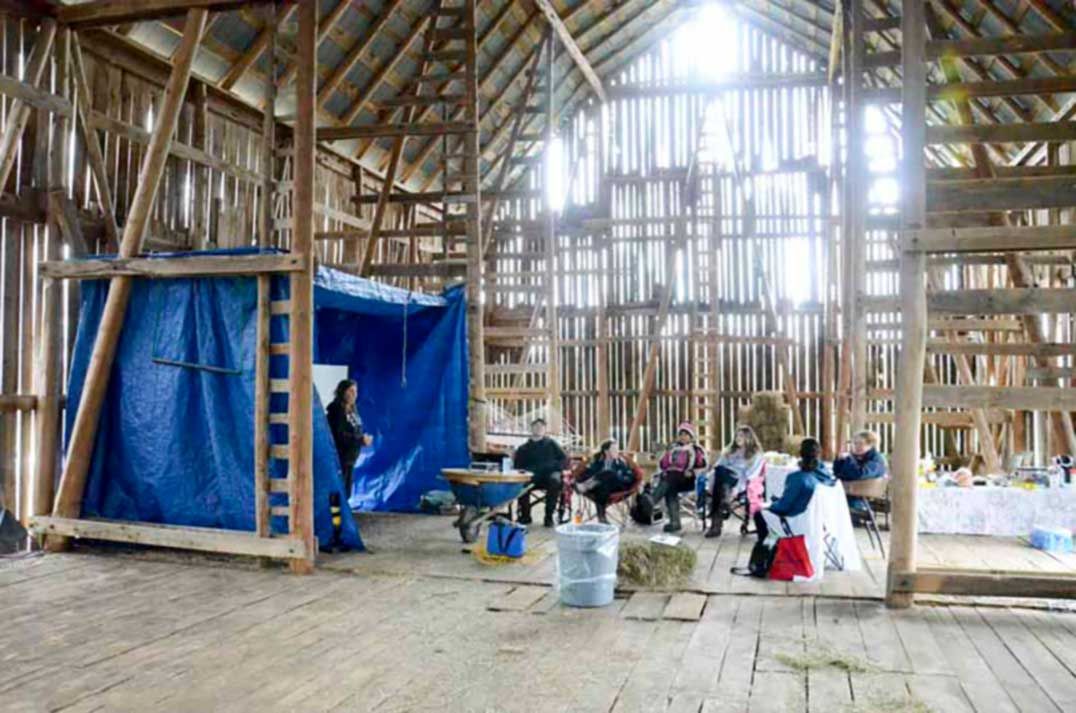 Manitoulin Light Horse Club members learn equine first aid