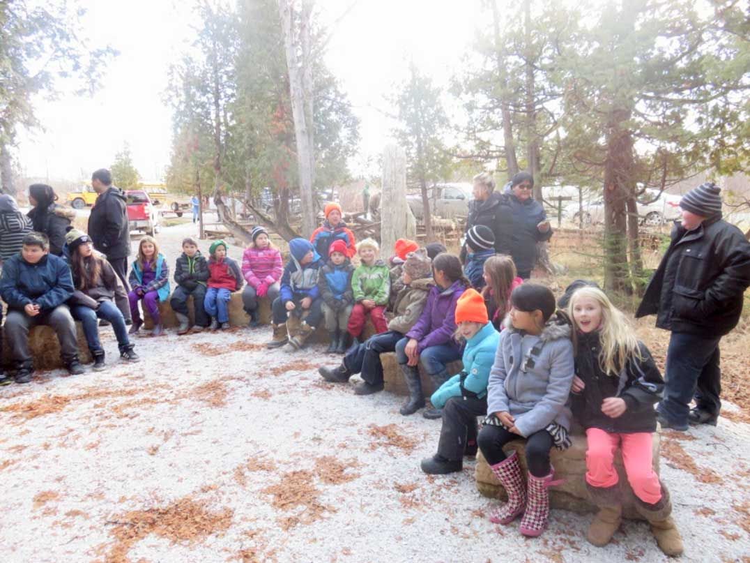 Manitoulin Streams plants a brook trout future