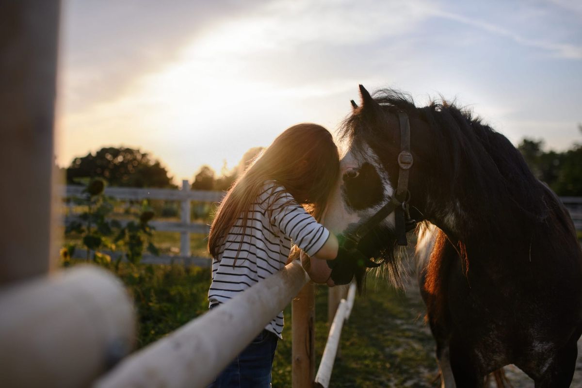 Farmers experience poorer mental health than other Canadians; farm-centric supports needed