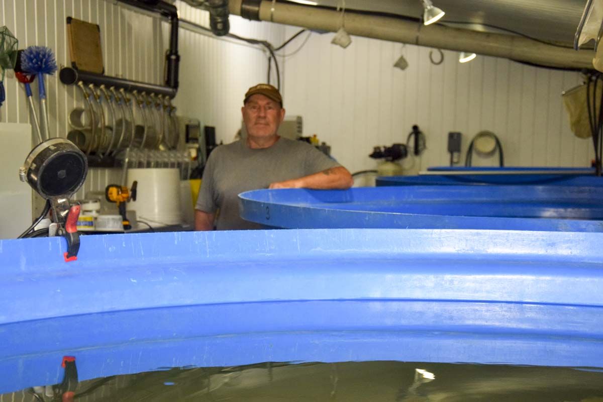 Onshore fish farming venture successful