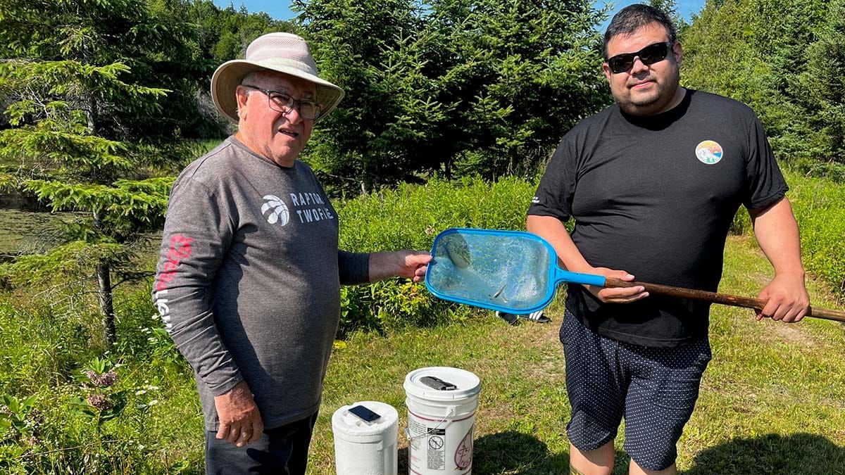 More walleye planted in North Channel