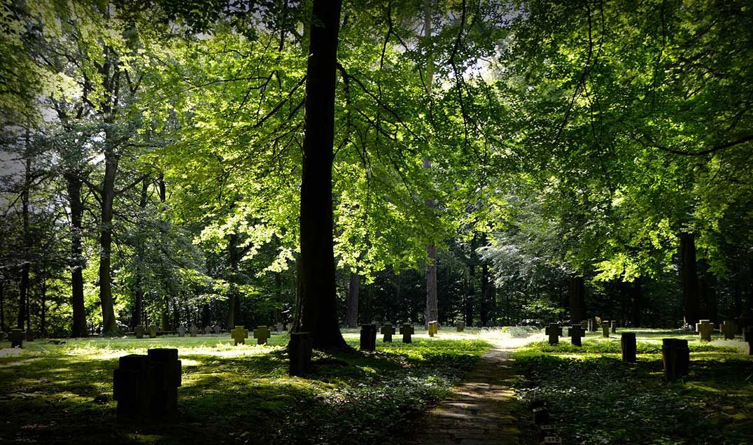 Local group needs landowner, provincial approval to carry out work on cemetery