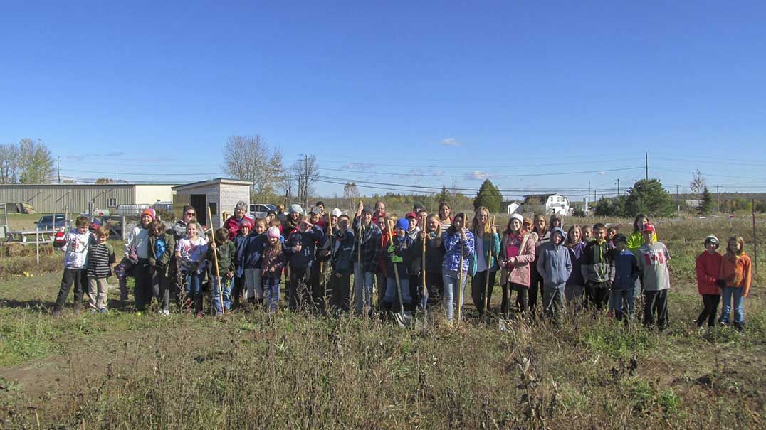 C.C. McLean students clean up community garden