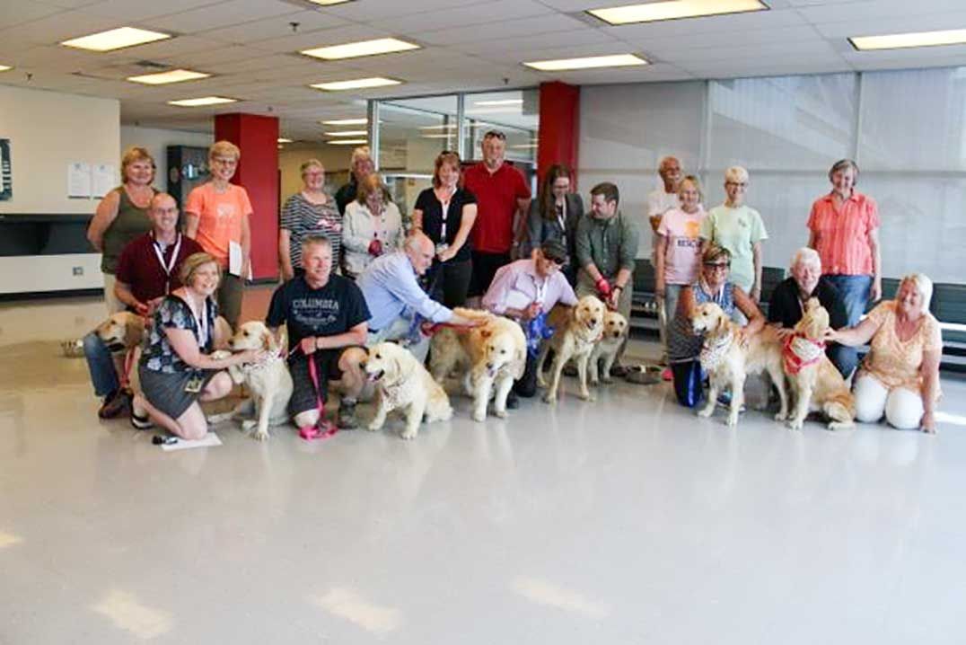 Golden retrievers get second chance in loving Manitoulin homes