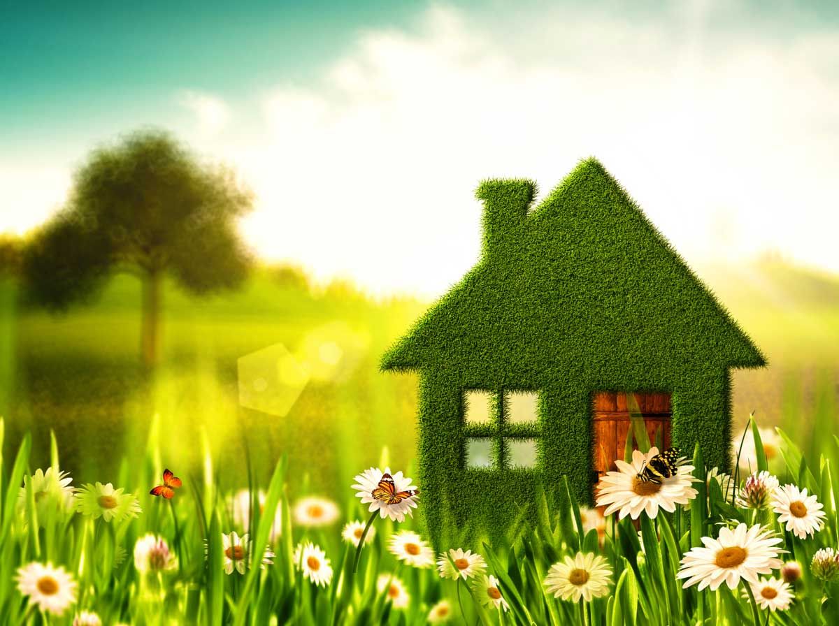 Greener Homes can lead to greener careers