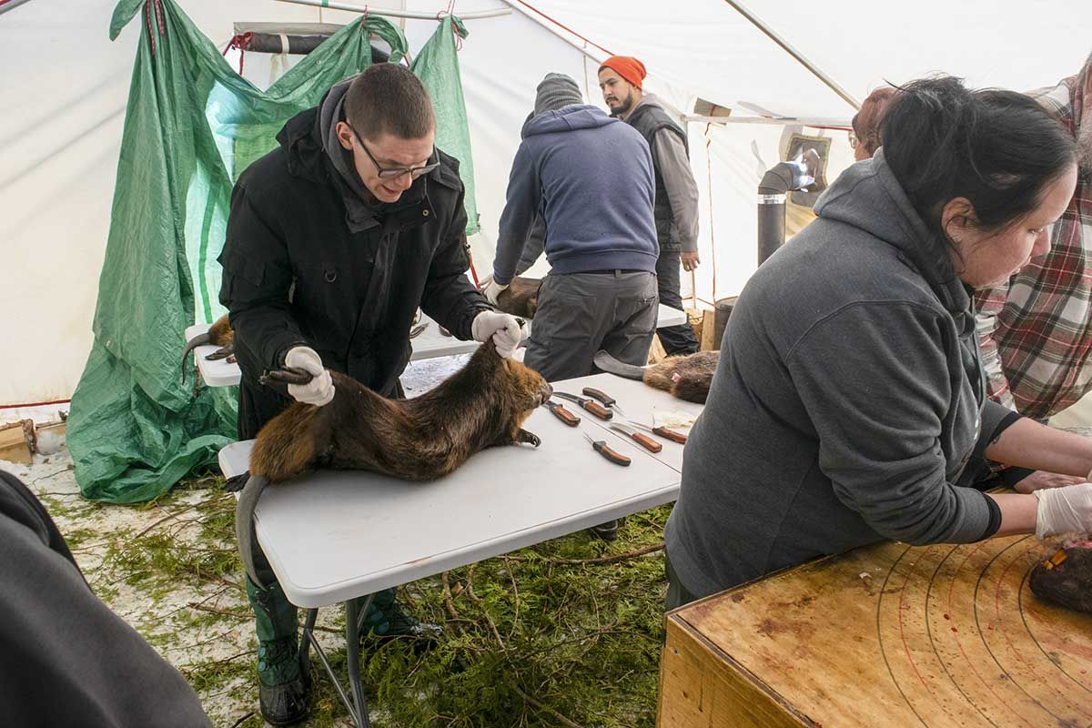 Largest trapping course in years hosted by Gwekwaadziwin
