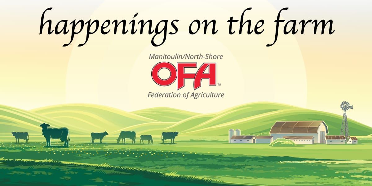 Happenings On The Farm