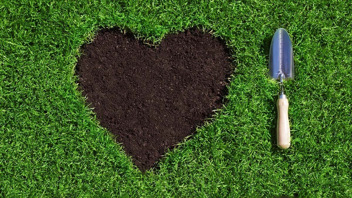 Western Community Garden group and school students to create heart garden