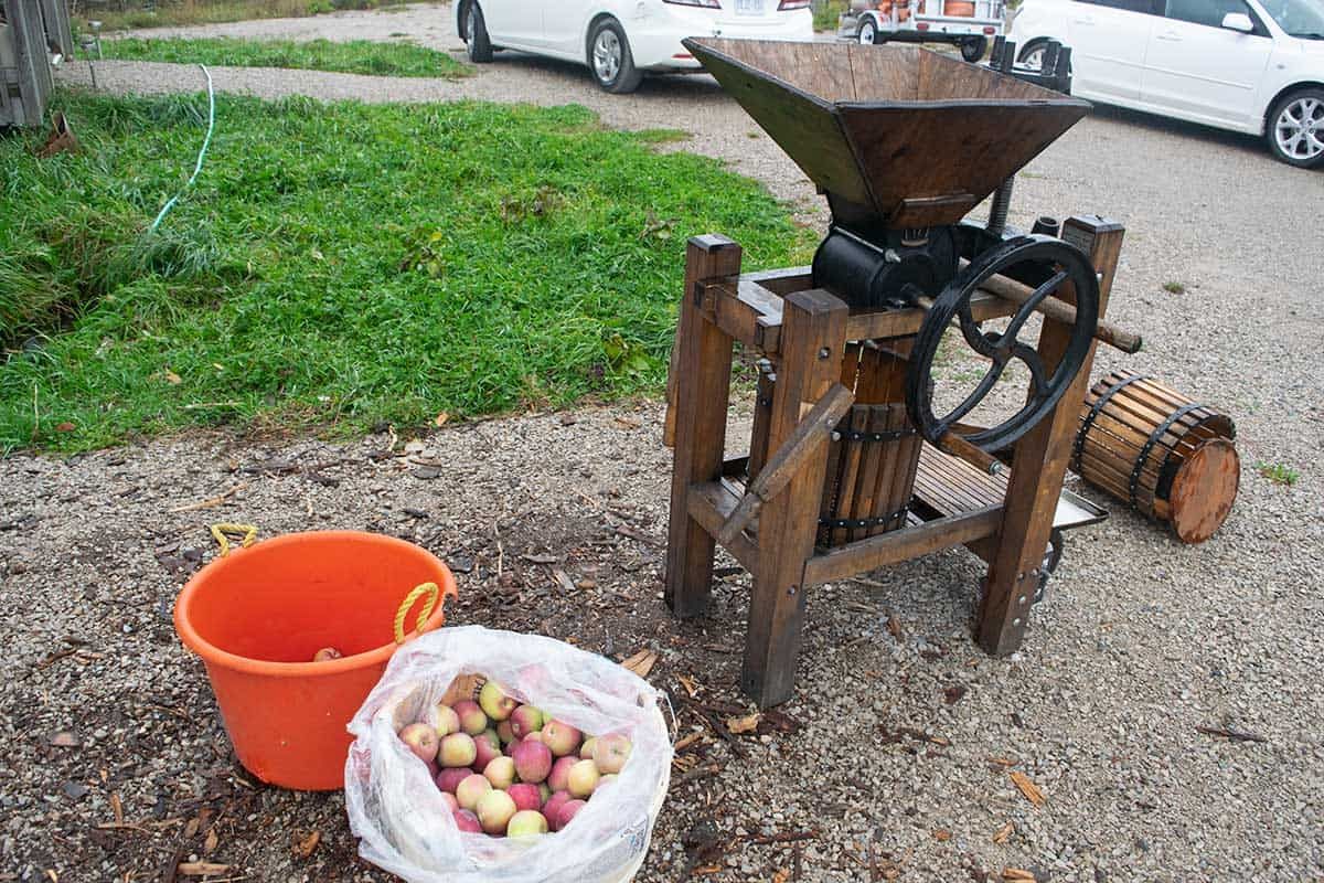 Find a home for your leftover apples by pressing cider