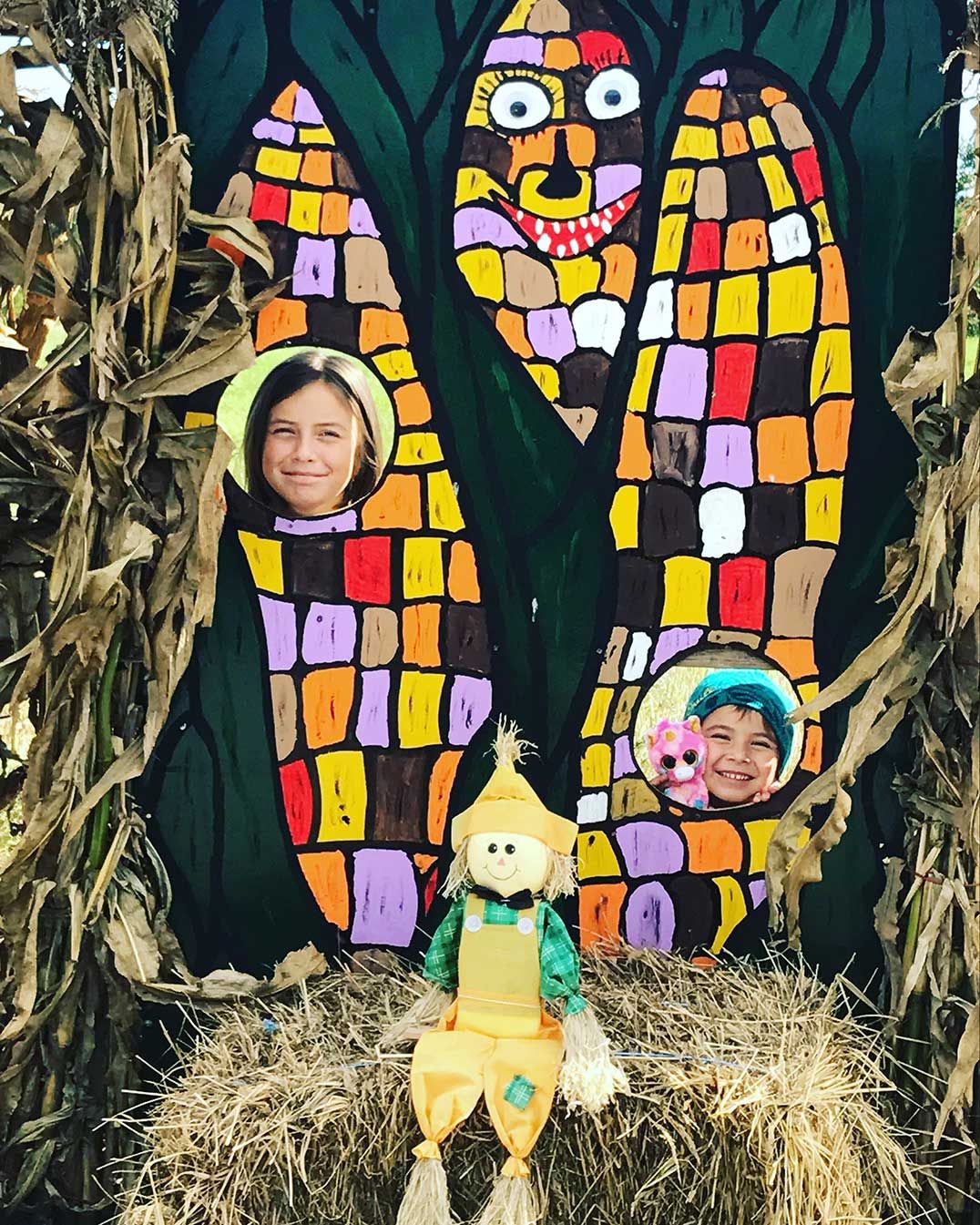 Communities named 2017 Harvest Glory Days decorating champions