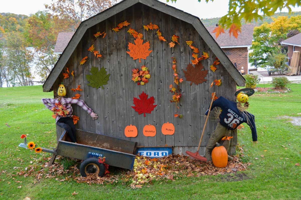 Harvest Glory Days 2020: Gallery