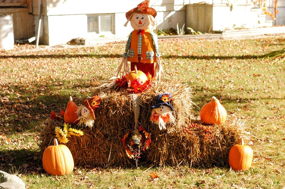 Harvest Glory Days on Manitoulin Island