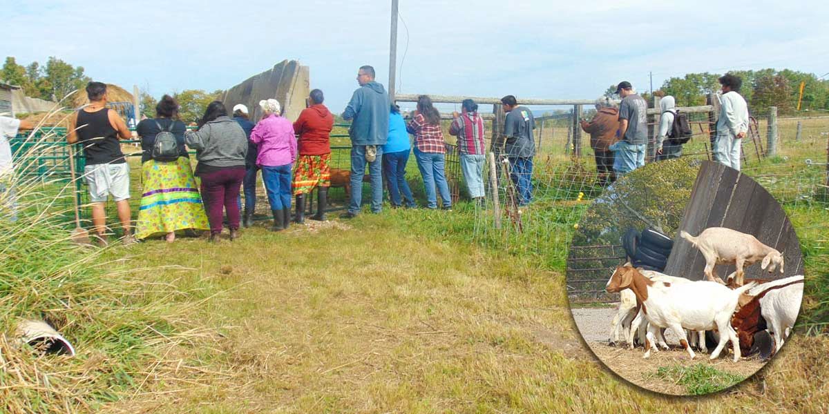 IAPO hosts farm tour on Manitoulin Island