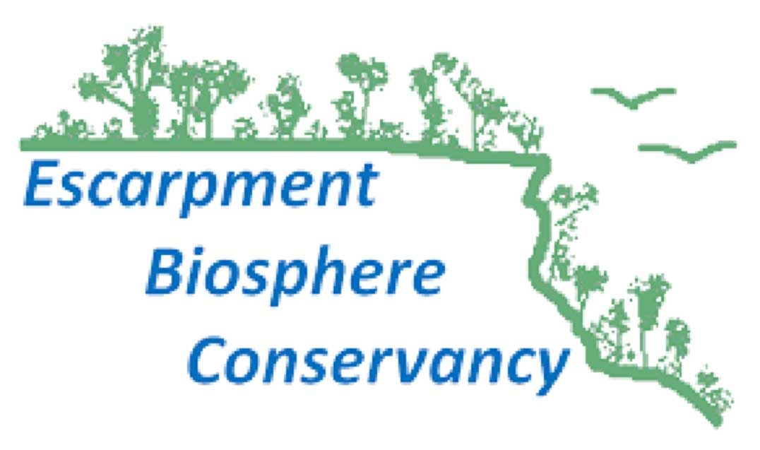 Escarpment Biosphere Conservancy relays concerns on planning board Official Plan