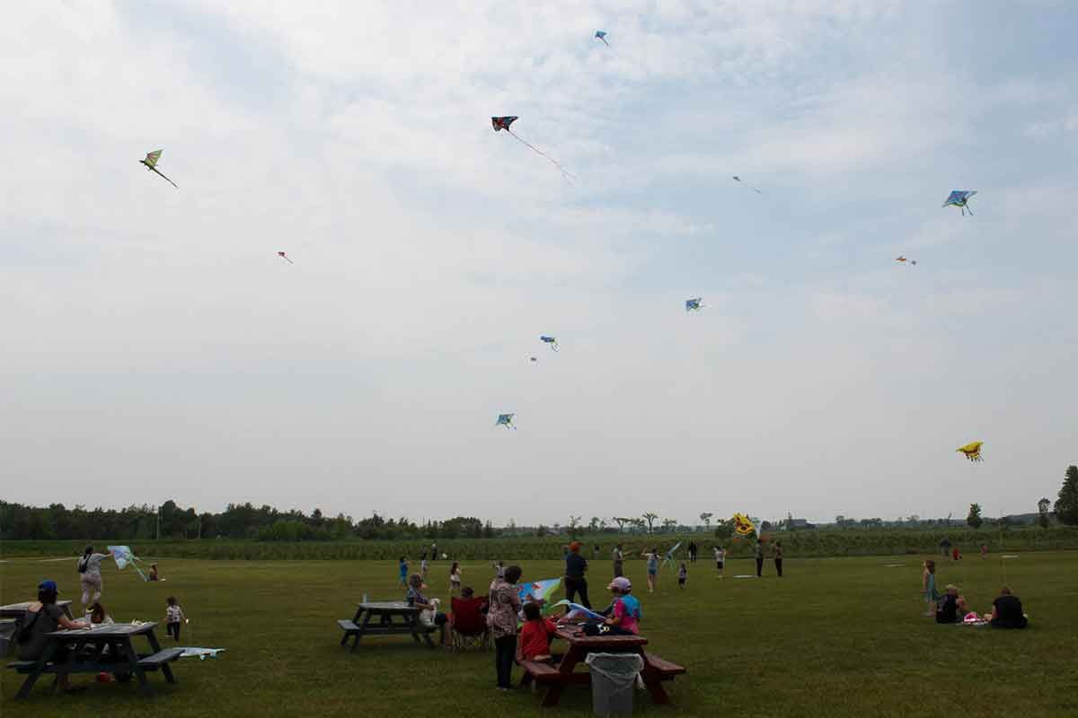 Go fly a kite