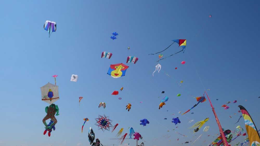 Inaugraul kite festival set to fly high