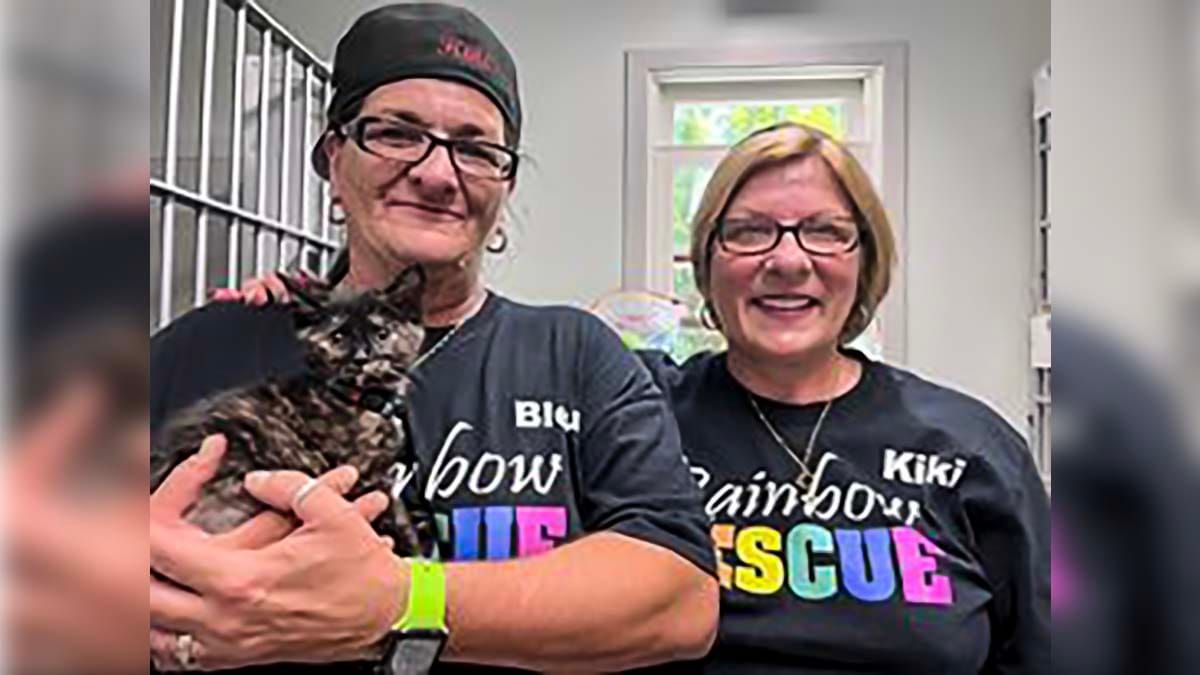 Kitten rescue highlights the need for compassion