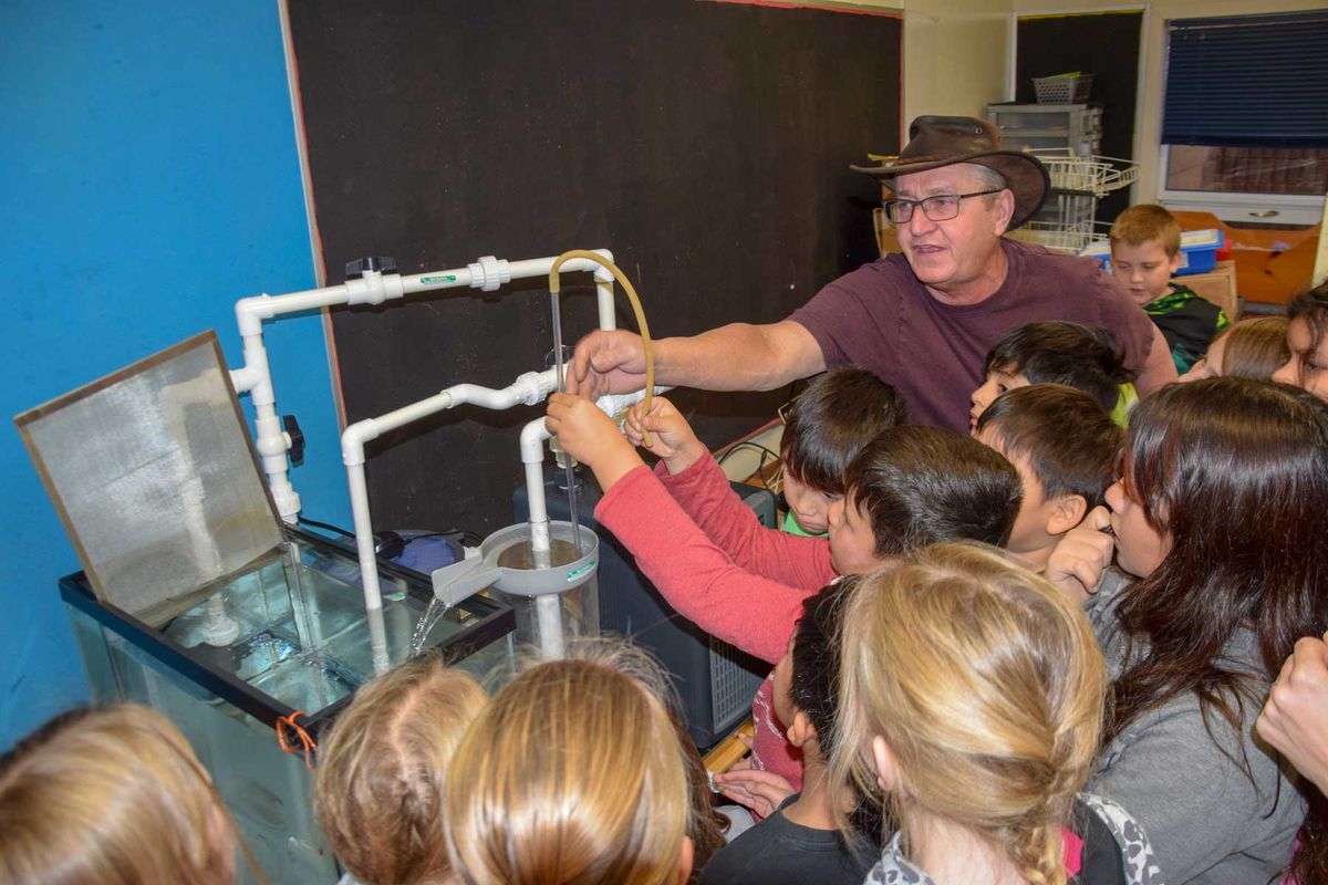 Little Current Public School micro-hatchery project gets underway