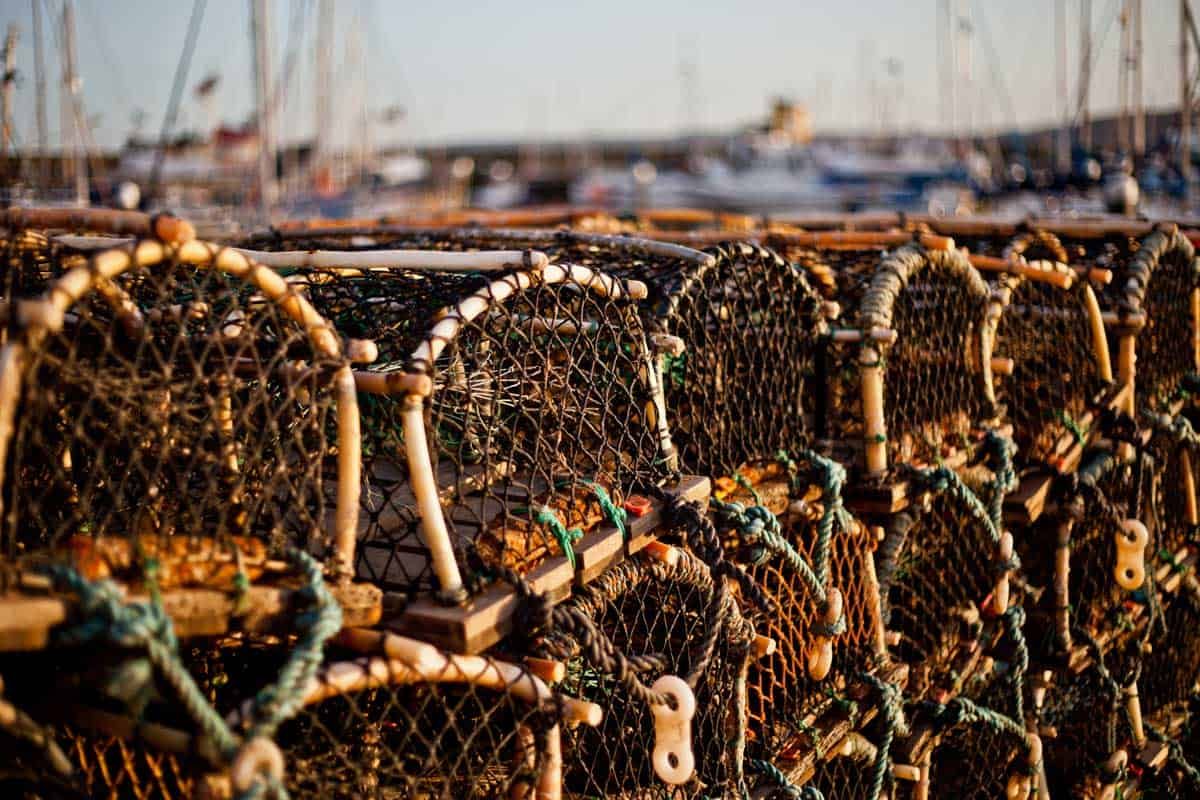 PRESS RELEASE: Anishinabek Nation in solidarity with Mi’kmaw fishers