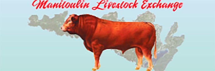 Manitoulin cattle fetch great prices at first sale of the year
