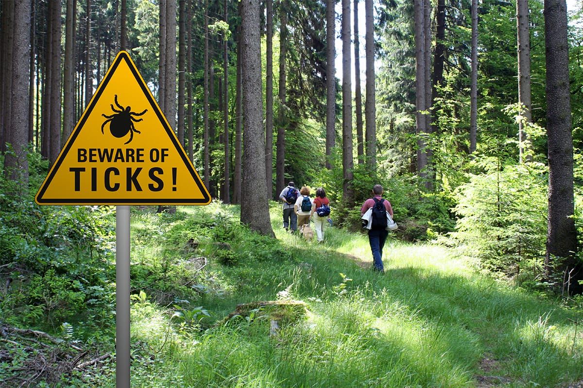 Lyme disease risk steadily rising