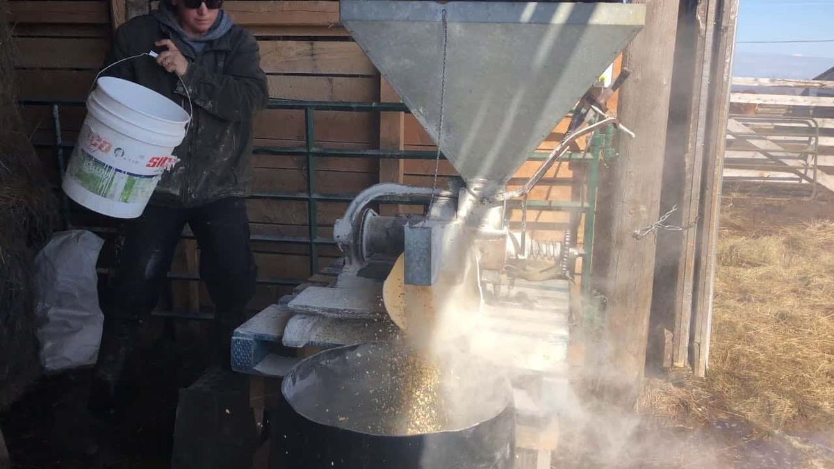 Beef farmer Lynn May never stops learning  and continues to adjust her safe farm practices