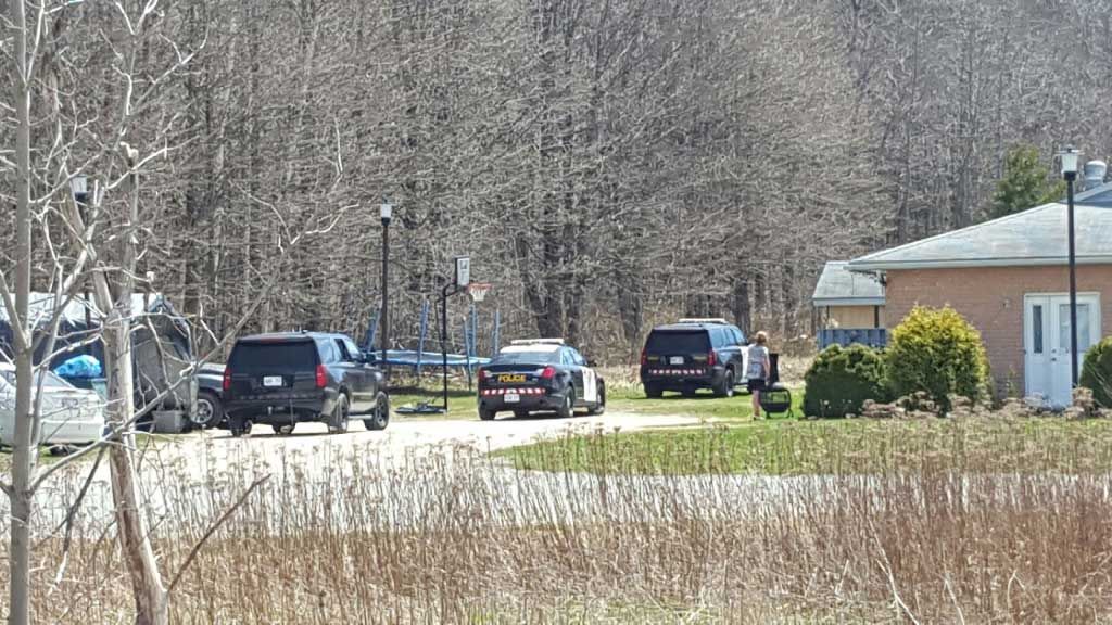 OPP confirms Mindemoya skull is human