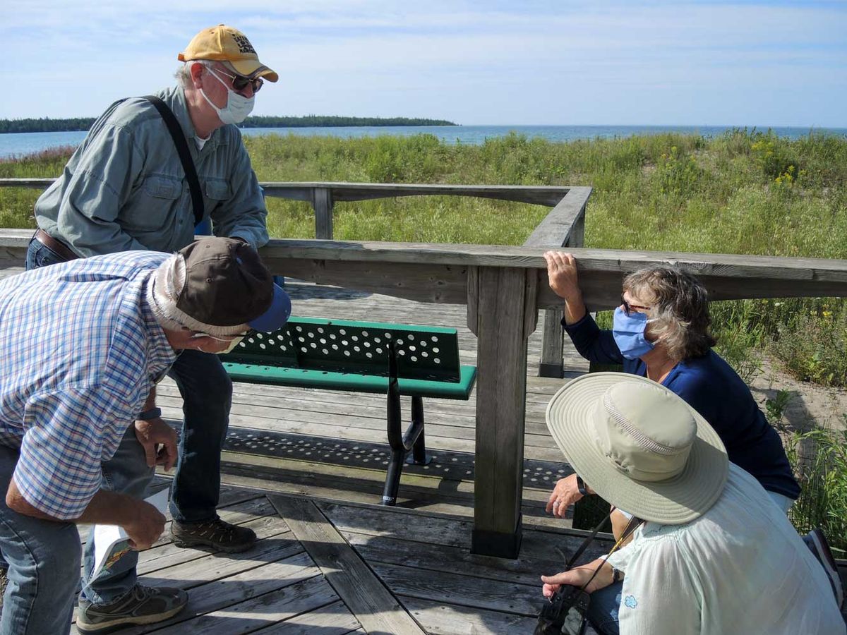 Results shared from second annual  Island-wide monarch butterfly count