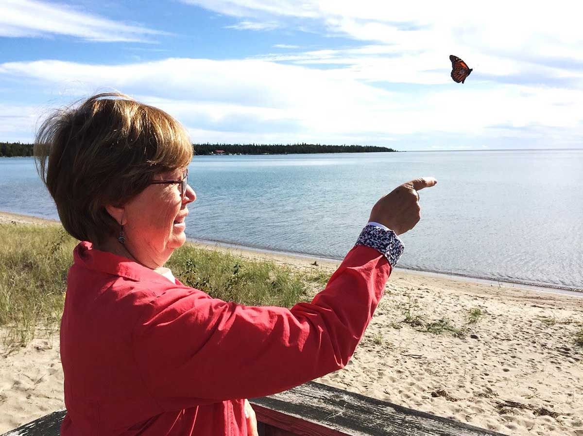 Hundreds of monarch migrants seen on Manitoulin