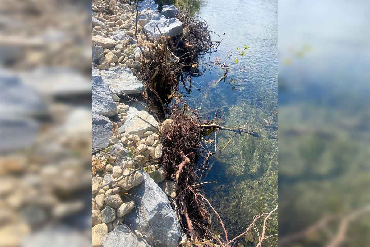 Manitoulin Streams funded for major stream improvements