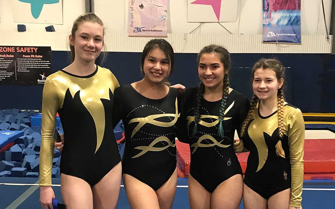 MSS gymnastics team posts very impressive results at NOSSA championship