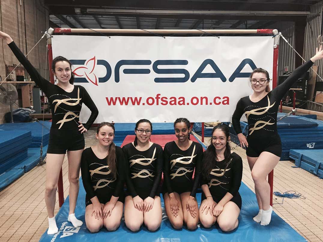 MSS gymnastics team wins gold at provincials