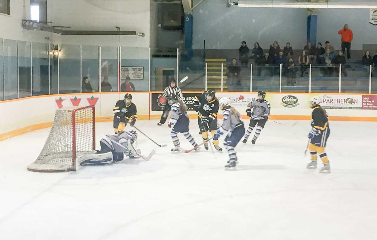 Manitoulin Mustangs girls’ hockey team boasts great end to a fantastic season