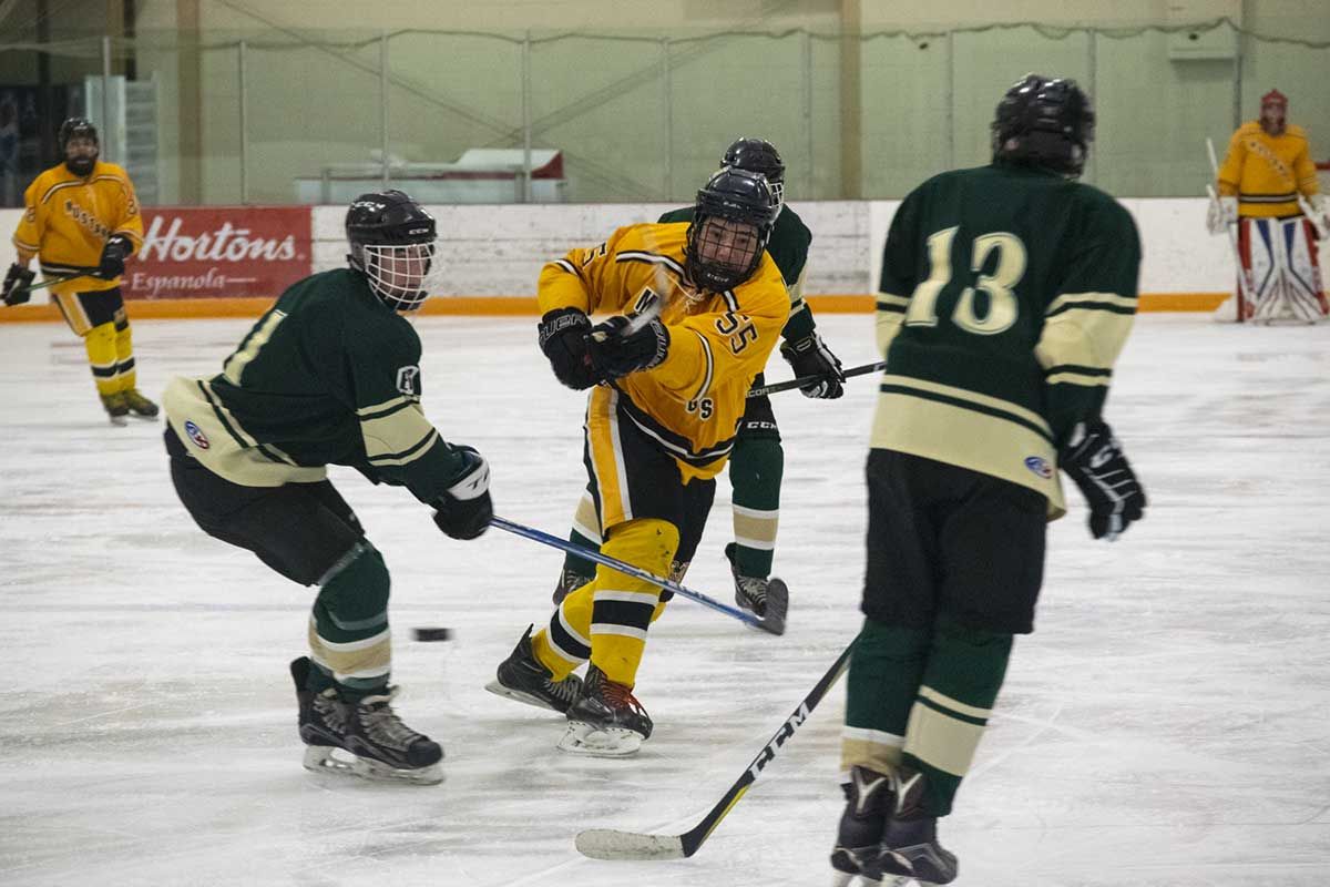 Mustangs hockey teams earning points in late-season push