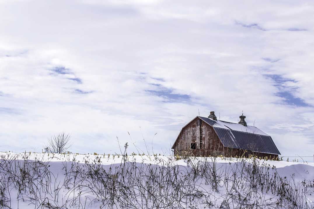 Manitoulin beef farmer in favour of checkoff rate increase