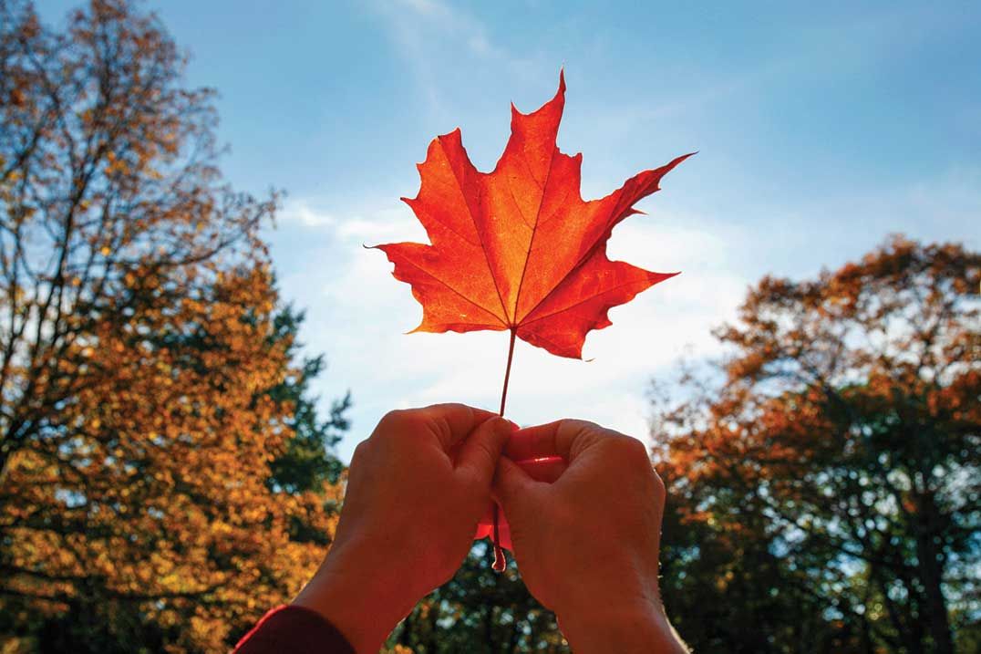Wiikwemkoong Fall Fair offers something for all
