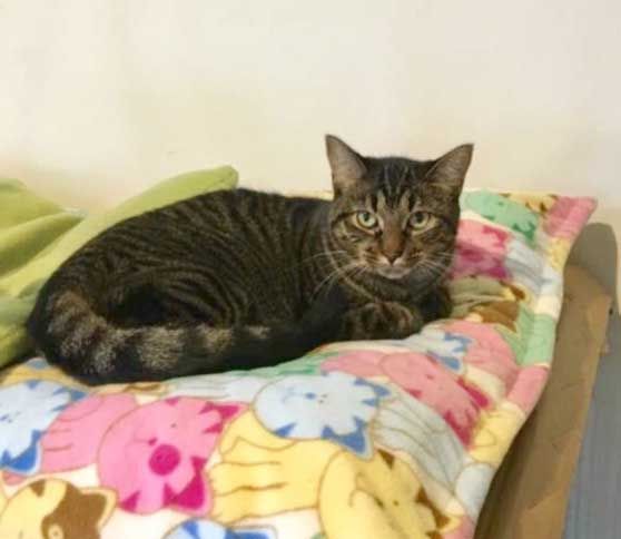 Nathan is looking for a loving family