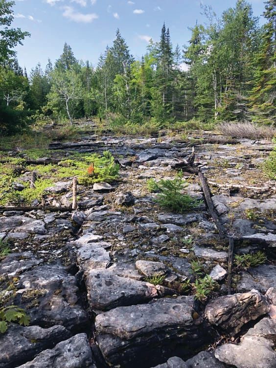 Nature Conservancy secures more of Cockburn Island