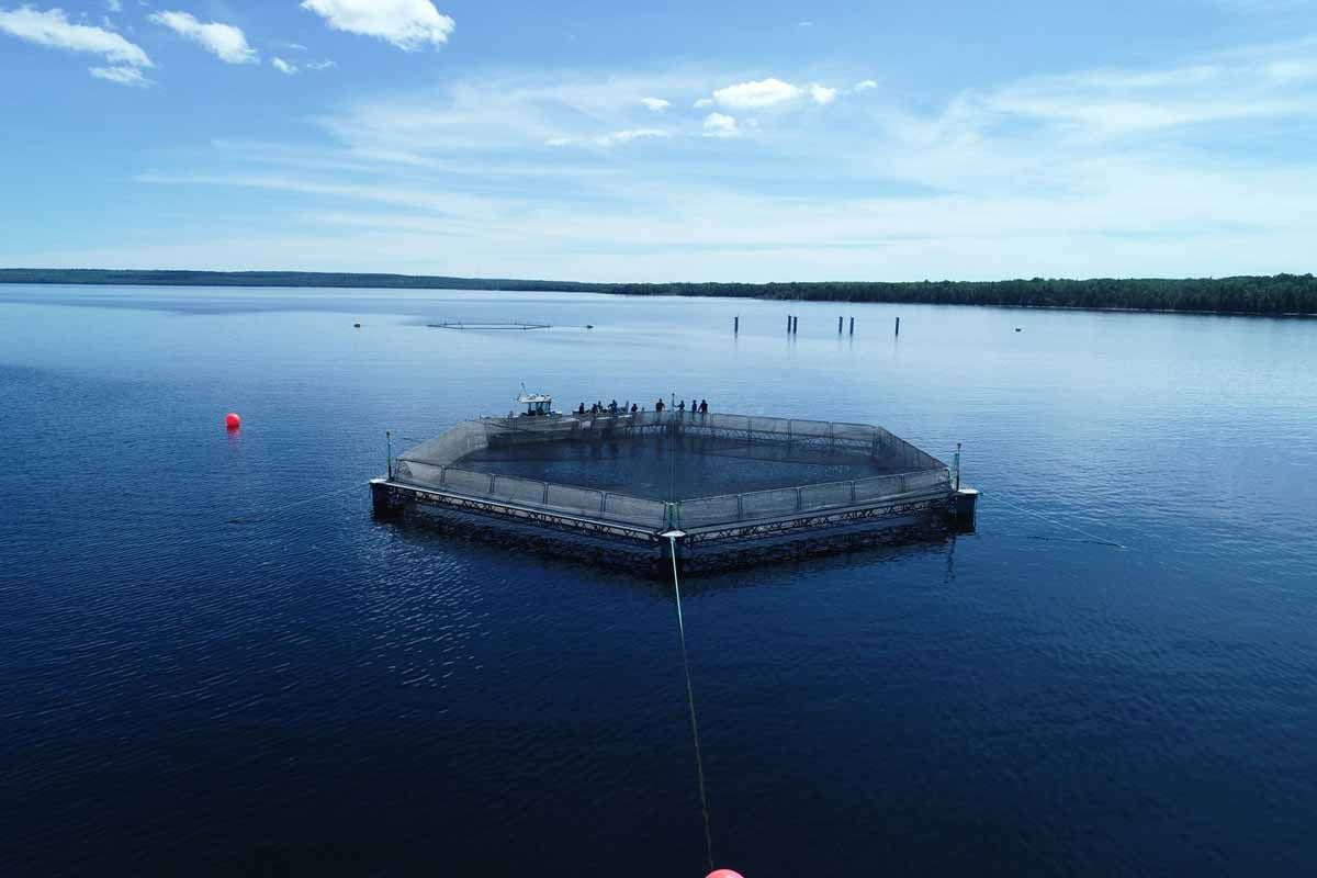 Sheshegwaning launches commercial fish farm