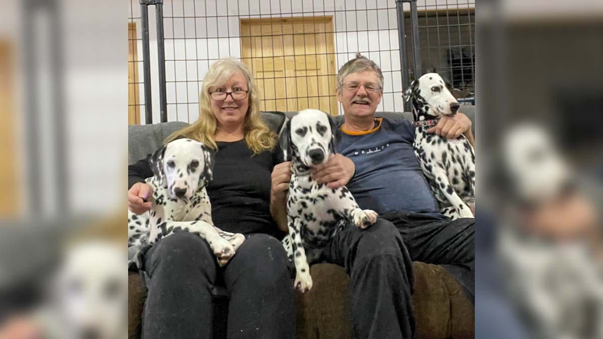 New-ish to Manitoulin: Darlene and Nathan Nicholson